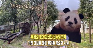 “관리가 안되는 느낌이에요” 푸바오 없는 선수핑 다녀온 팬이 남긴 중요한 후기