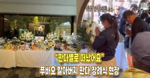 “판다별로 떠났어요” 푸바오 할아버지 판다의 사망 소식, 모두를 울렸던 장례식 현장