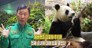 “푸바오 한국 귀환 가능성은..” 에버랜드 강철원 주키퍼 첫째 손녀에 대해 입을 열었다
